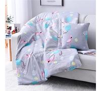 Surwin Travel Blanket Throw Pillow 2 in 1, Cartoon Airplane Blanket Multifunctional Sofa Decorative Cushion Back Support Portable Warm Quilt for Rest Bed Office Chair (100x150cm,Flamingo)