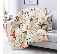 Surwin Travel Blanket Throw Pillow 2 in 1, Cartoon Airplane Blanket Multifunctional Sofa Decorative Cushion Back Support Portable Warm Quilt for Rest Bed Office Chair (100x150cm,Elk)