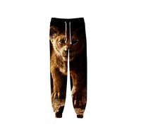 Surwin Women Men Sport Trousers 3D Animal Lion Printed Training Sweatpants Casual Plus Size Unisex Joggers Parkour Long Pants with Drawstring Pockets S-4XL (Lion Baby,M)