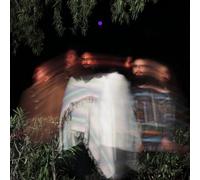Surya Botofasina/Nate Mercereau/Carlos Niño - Subtle Movements [2 LP] [Vinyl LP] [VINYL]