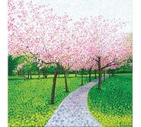 Susan Entwistle Art "Cherry Blossom Limited Edition Paper Print, Multi-Colour, 50 x 50 cm