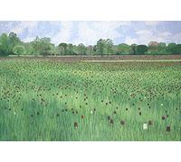 Susan Entwistle Art "Fritillary Meadow Limited Edition Canvas, Multi-Colour, 75 x 50 cm