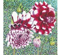 Susan Entwistle Art "Garden Dahlia Limited Edition Paper Print, Multi-Colour, 50 x 50 cm