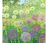 Susan Entwistle Art Globemaster Alliums Greetings Cards, 15 cm x 15 cm, multicolour, 6-Piece
