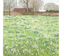 Susan Entwistle Art Snowdrops Hodsock Priory Greetings Cards, 15 cm x 15 cm, multicolour, 6-Piece