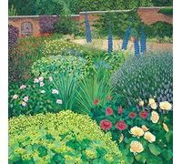 Susan Entwistle Art The Kitchen Garden Greetings Cards, 15 cm x 15 cm, multicolour, 6-Piece