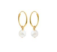 Susanne Friis Bjørner Earrings 18 ct. Goldplated Silver 5630-2 - Woman - 925 Sterling Silver Gold