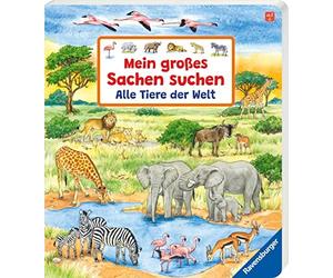 Susanne Gernhäuser Ursula Mein großes Sachen suchen: Alle Tiere de (Paperback)