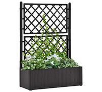 Susany Garden Raised Bed with Trellis and Self Watering System, Trellis Planter, Garden Trough Planter with Topped Trellis Climbing Plants Flower Raised Bed, Anthracite