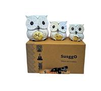 SusggO Set of 3 Decorative Wooden Owls, Owl Decoration, Owl Figures, Lucky Owls, Furniture Ornament Idea (White, Golden Details)