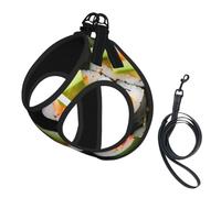 Sushi Dill Pickles Print Reflective No Choke Pet Vest Harness,Adjustable Soft Padded Dog Harness With Easy Control Handle
