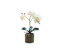 susiodeu Artificial Orchid Bonsai Potted Phalaenopsis Home Garden Bright Color Realistic Fake Plant for Indoor Balcony Wedding, White
