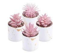 susiodeu Small Desktop Artificial Succulents Bonsai Cute Tiny Plants Indoor