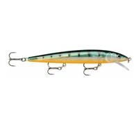Suspending lure Rapala husky jerk 10 cm Multicolore 10 cm