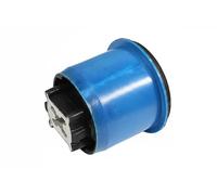 Suspension beam bush Rear Axle Left Rubber-Metal Mount 52091109 METZGER for DS