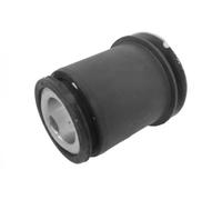 SASIC 2600012 Axle bush