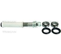 SUSPENSION KIT FOR FIAT ALBEA BRAVA BRAVO COUPE TRISCAN 8500 15400