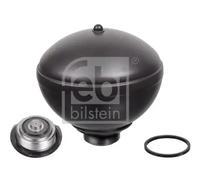 Suspension pneumatic sphere Rear Axle Left 38291 FEBI BILSTEIN for CITROËN