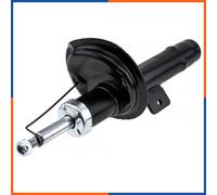 Suspension shock absorber front left for CITROËN | A-CT-020, 5202GT