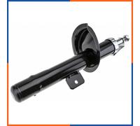 Suspension shock absorber front right for CITROEN | A-CT-001, 315462