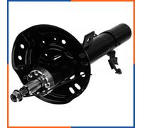 Fits NTY A-NS-035 FRONT SHOCK ABSORBER RIGHT ⭐UK Stock⭐
