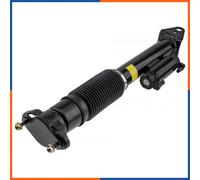 Shock absorber Rear Axle Left Top yoke A-ME-016 NTY for MERCEDES-BENZ GLE Coupe