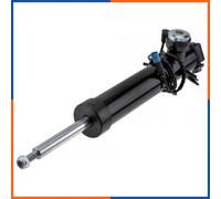 Shock absorber Rear Axle Right Top pin A-BM-004 NTY for BMW X5 X6