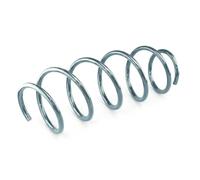 CS Germany 14.875.883 Coil spring
