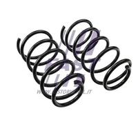 FAST FT12283K Coil spring