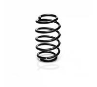 Suspension spring Front Axle Coil Spring R10071 EIBACH for SKODA VW