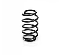 Suspension spring Front Axle Coil Spring R10095 EIBACH for MERCEDES-BENZ A-CLASS