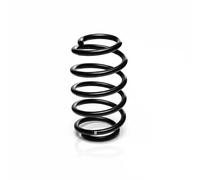 EIBACH R10129 Coil spring