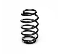 Suspension spring Front Axle Coil Spring R10131 EIBACH for VW GOLF Mk IV BORA I