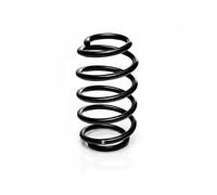 Suspension spring Front Axle Coil Spring R10134 EIBACH for VW PASSAT B3/B4