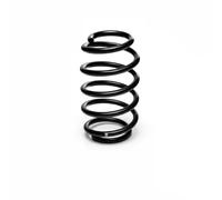 Suspension spring Front Axle Coil Spring R10136 EIBACH for AUDI A4 B6 A4 B7