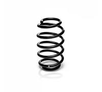 EIBACH R10145 Coil spring