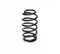 Eibach Coil Spring R10254 – Front Axle, fits Ford Fiesta VI