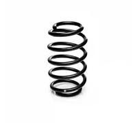 EIBACH R10196 Coil spring