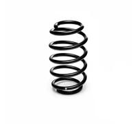 Eibach Coil Spring R10322 - Front Axle, Constant Wire Diameter - Fits VW CC/Passat/Superb