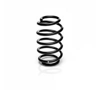 Suspension spring Front Axle Coil spring with constant wire diameter R10914