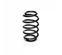 Suspension spring Front Axle Coil spring with constant wire diameter R22921