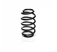 Suspension spring Front Axle Coil spring with constant wire diameter R22922