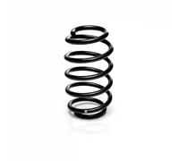 Suspension spring Front Axle Coil spring with constant wire diameter R22935