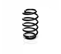 Suspension spring Front Axle Coil spring with constant wire diameter R22958