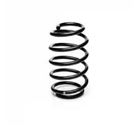 Eibach Coil Spring R22998 - Front Axle, Constant Wire Diameter, Fits VW Polo VI (2017-2021)