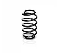SUSPENSION SPRING R23000