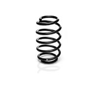 Suspension Spring EIBACH R23044 For BMW