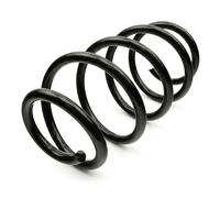 FAST FT12294 Coil spring