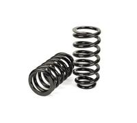 Arnott C-3080 Springs Suspension Set Rear Fits Mercedes E-Class T-Model