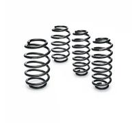 Eibach sport spring kit E10-20-001-09-22 for BMW 3 Compact Lowering kit